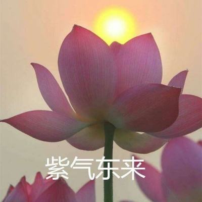 沙战荣耀游戏下载